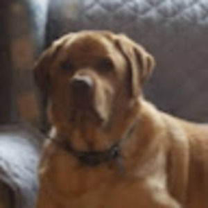 Meet your Posher, Melody